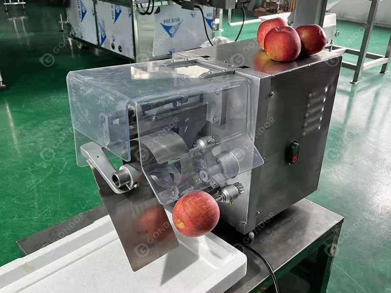 Apple Peeler and Corer Machine Live Shot2
