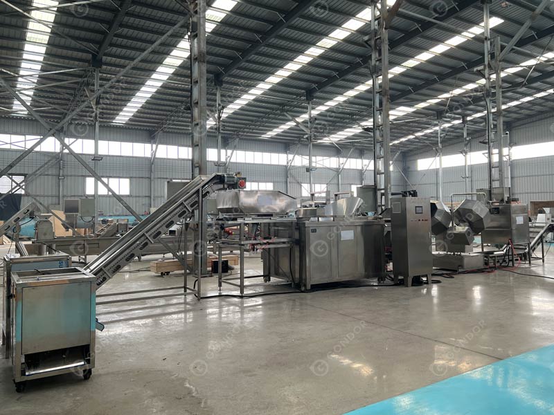 Linea di lavorazione delle patatine di banana Ripresa dal vivo