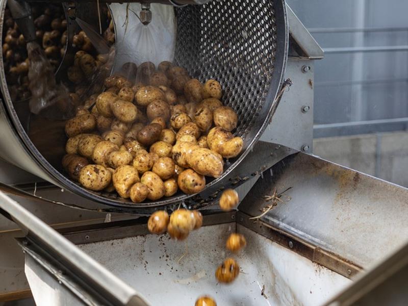 Macchina pulisci bolle per pulire le patate
