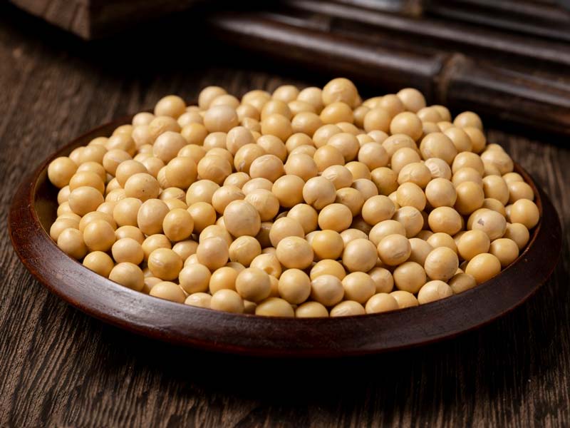Macchina selezionatrice di colori per fagioli