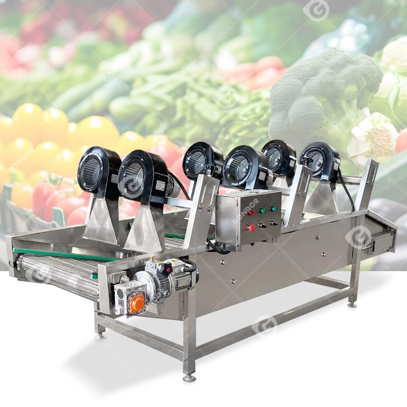 Asciugatrice ad aria fredda per frutta e verdura