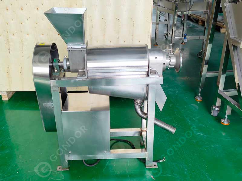 Fruit Extractor Machine