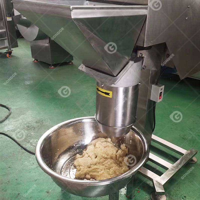 Macchina per tritare l'aglio 