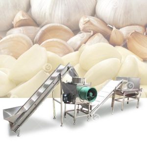 Lini Produksi Pengupasan Bawang Putih
