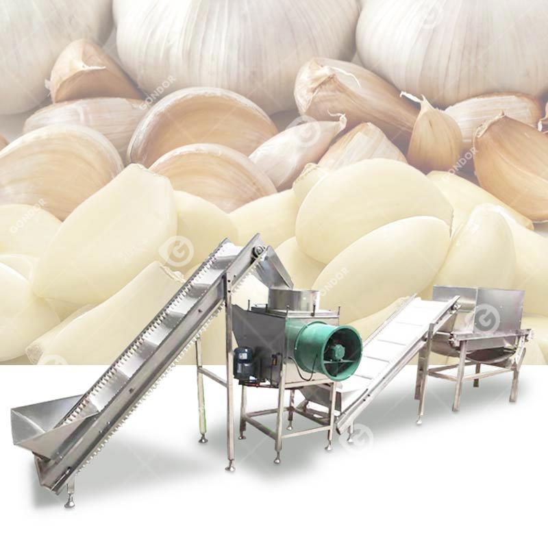 Linea di produzione di peeling all'aglio