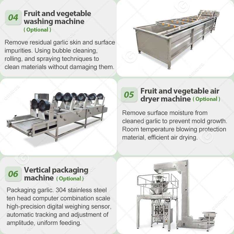 Linea di produzione di peeling all'aglio