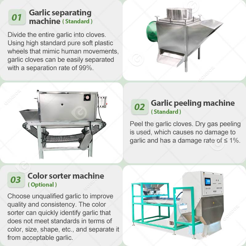 Linea di produzione di peeling all'aglio