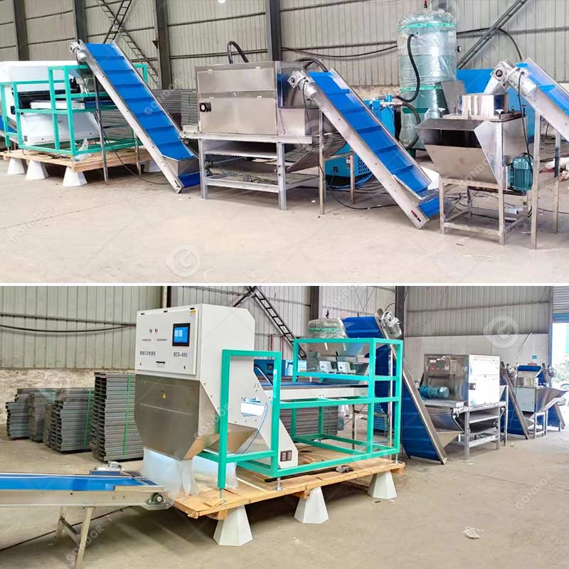 Linea di produzione di peeling all'aglio