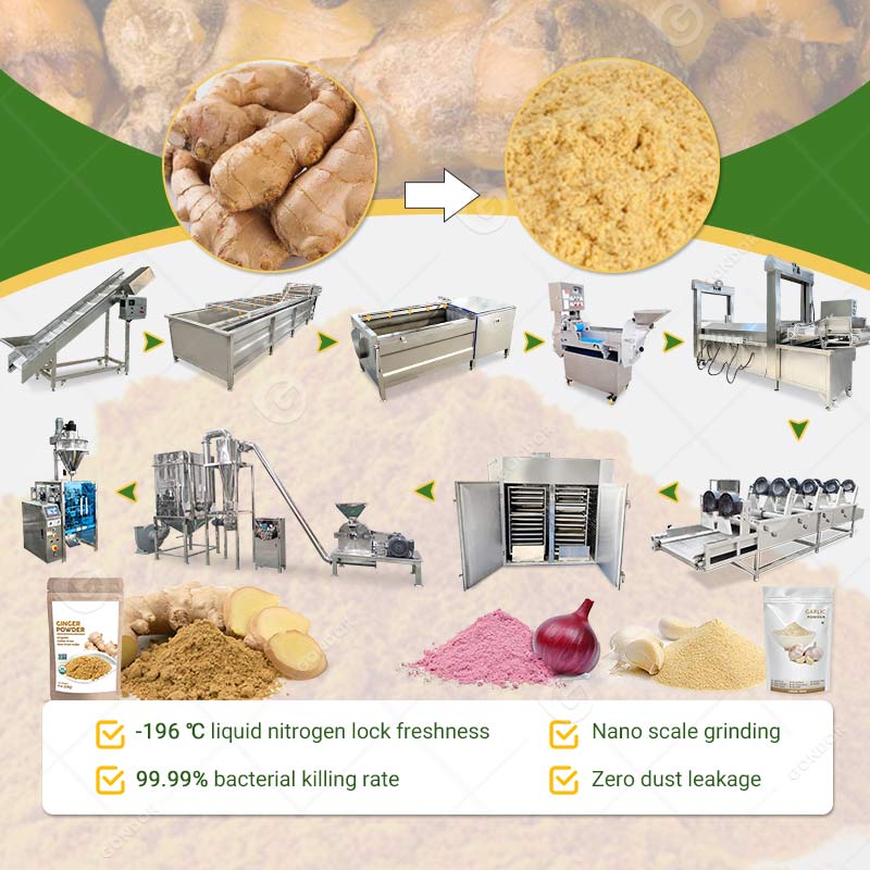 Linea di produzione di polvere di zenzero