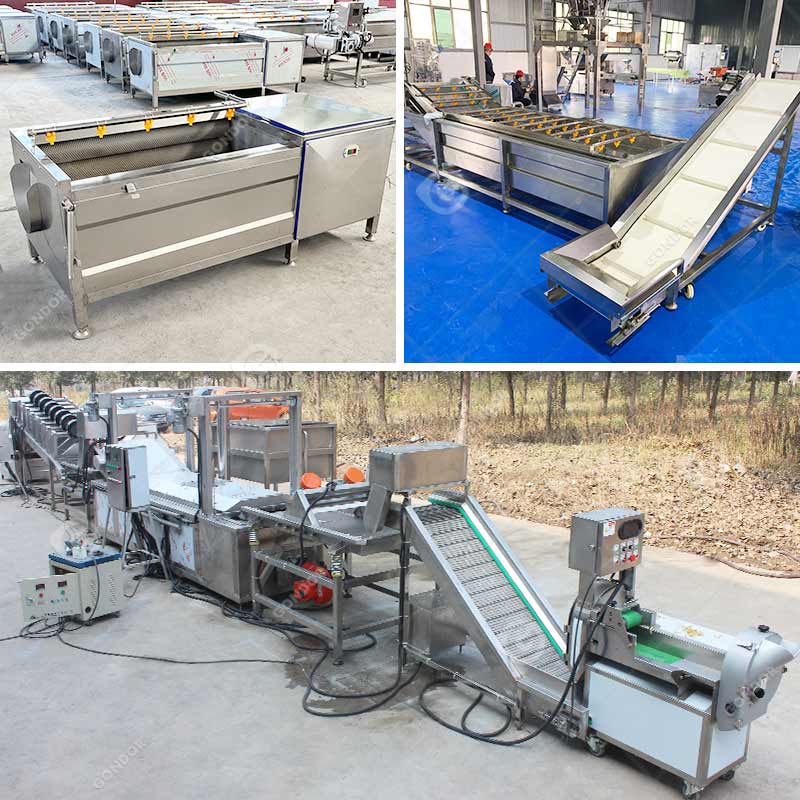 Linea di produzione di polvere di zenzero