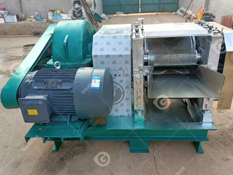 Motor Model Sugarcane Juicer