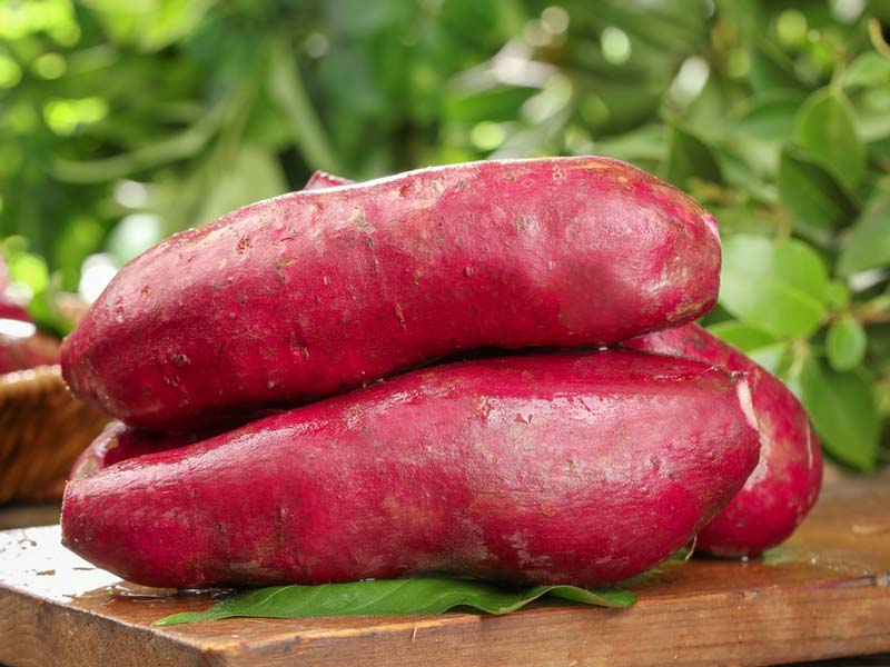 Linea di produzione di patatine fritte per patate dolci viola