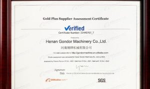 certificato gondor