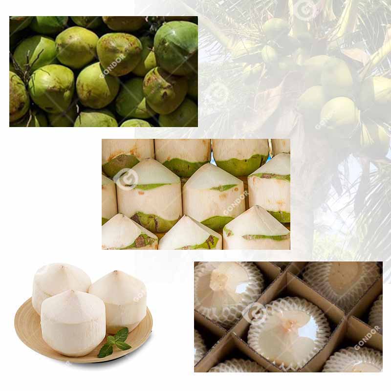 Macchina per sbucciare il cocco