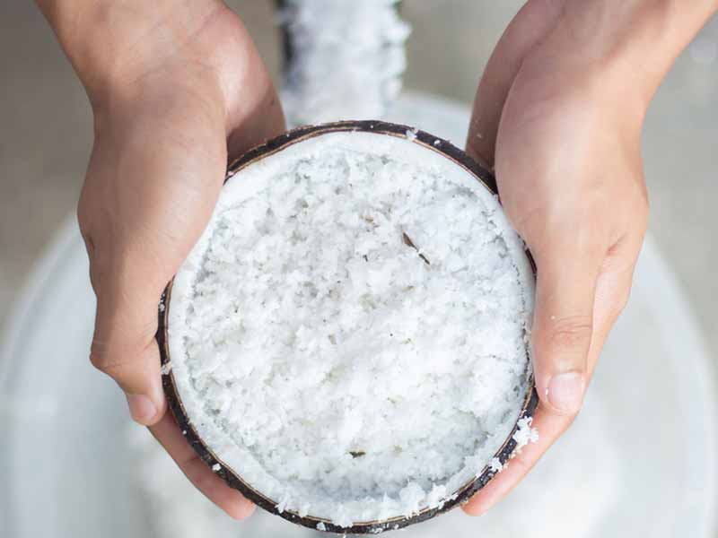 Smerigliatrice elettrica per cocco per polvere di polpa di cocco