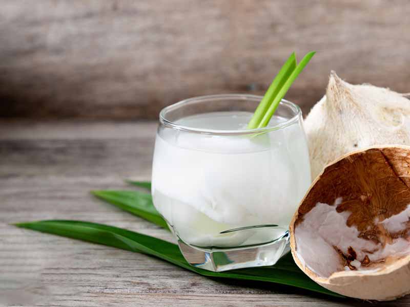 Macinino elettrico per cocco per succo di cocco