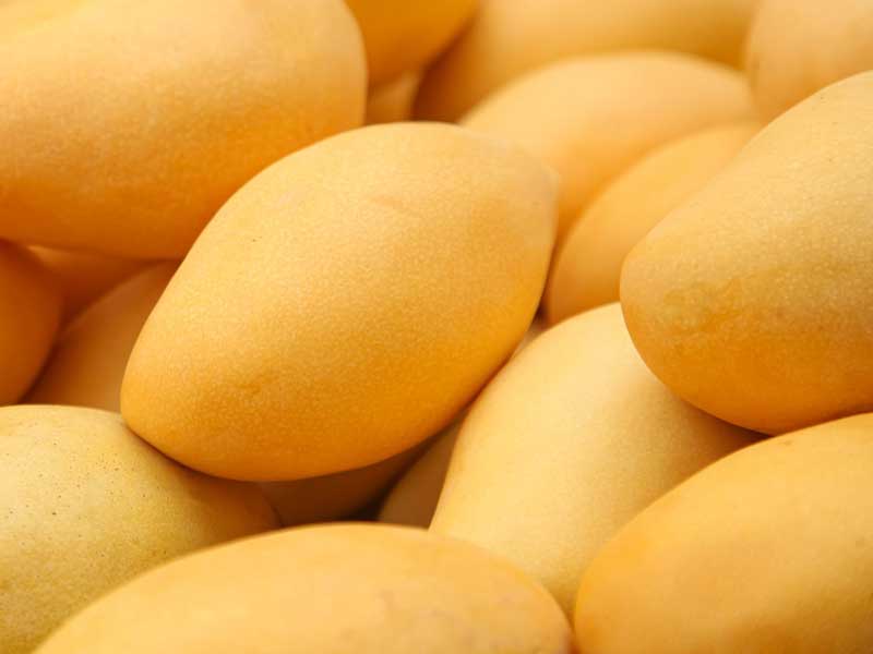 Polpa Di Frutta Per Manghi Freschi