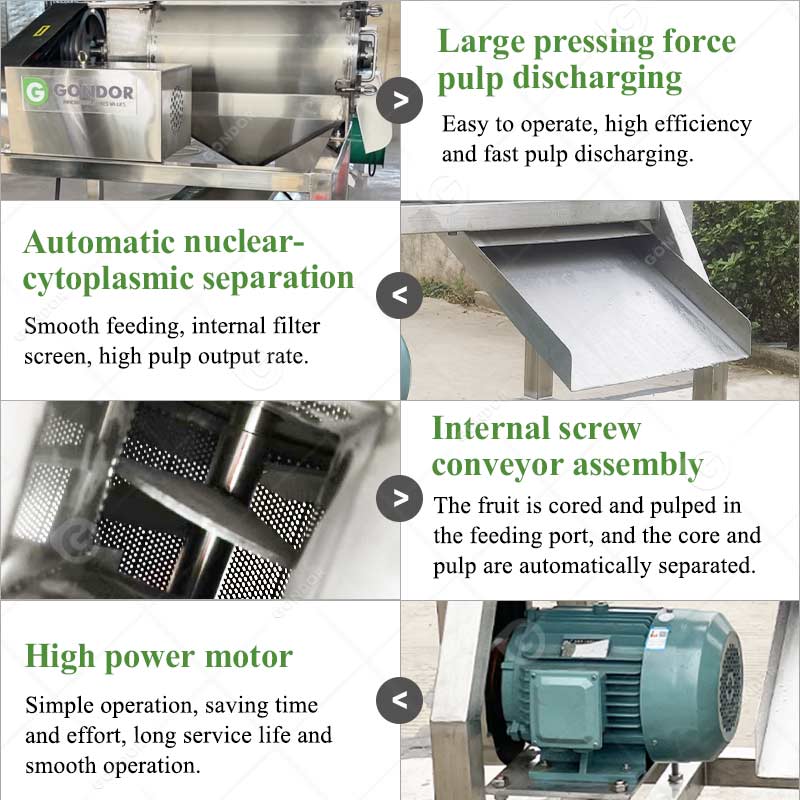 Fruit Pulping Machine