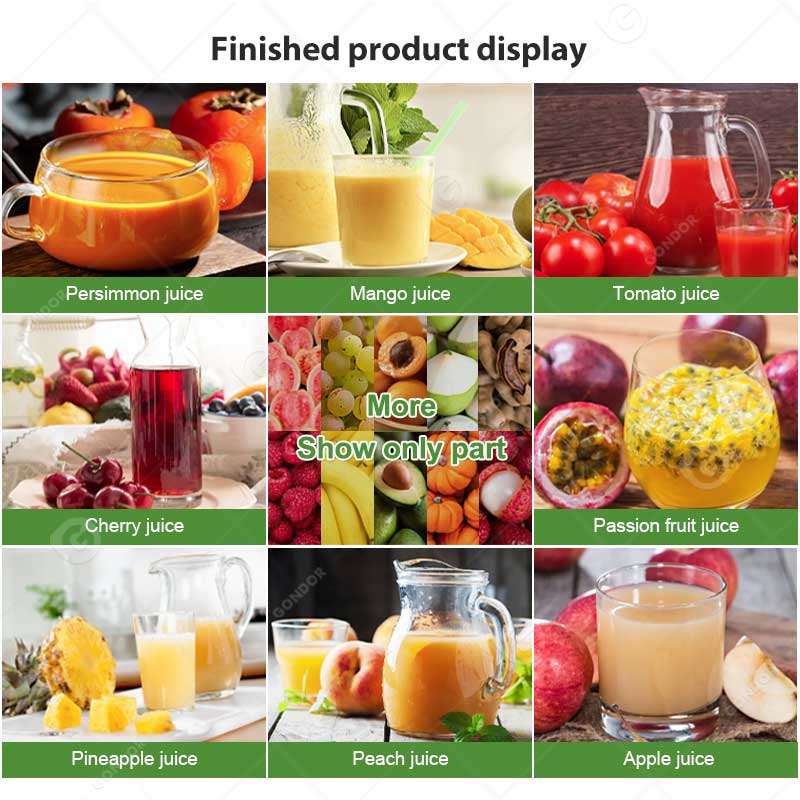 Fruit Pulping Machine