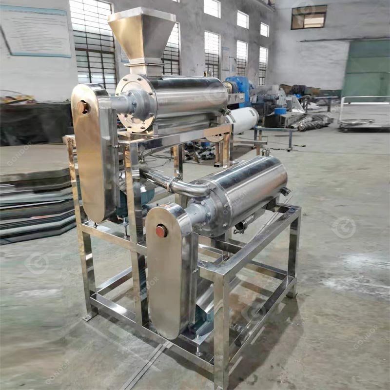 Fruit Pulping Machine