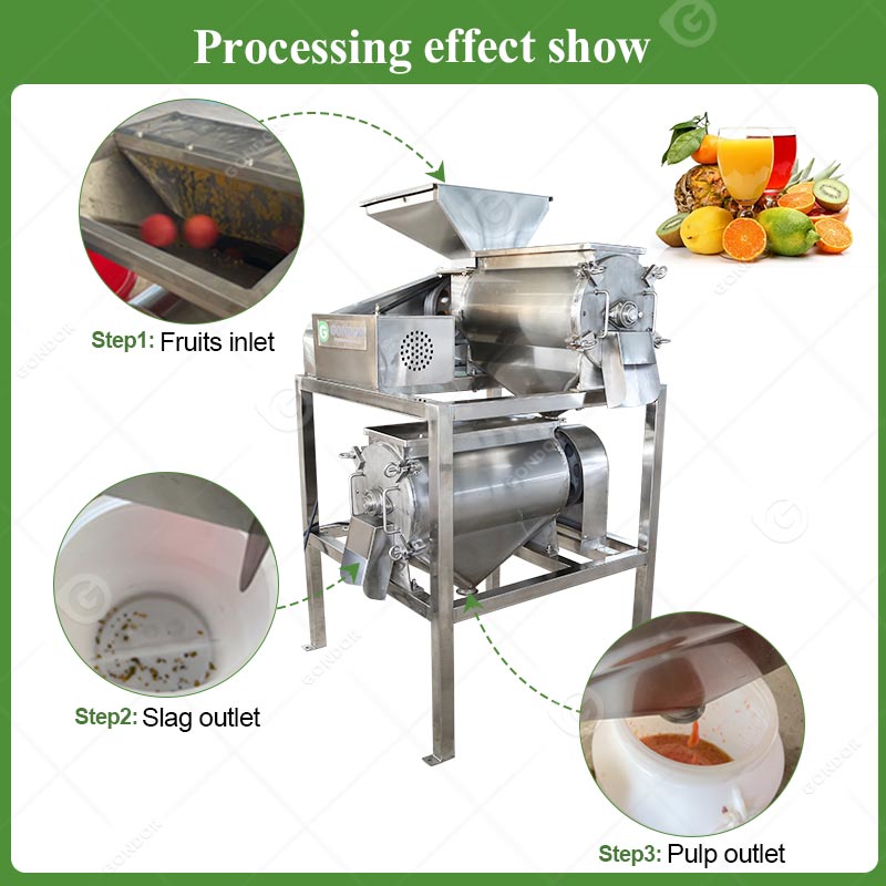 Fruit Pulping Machine