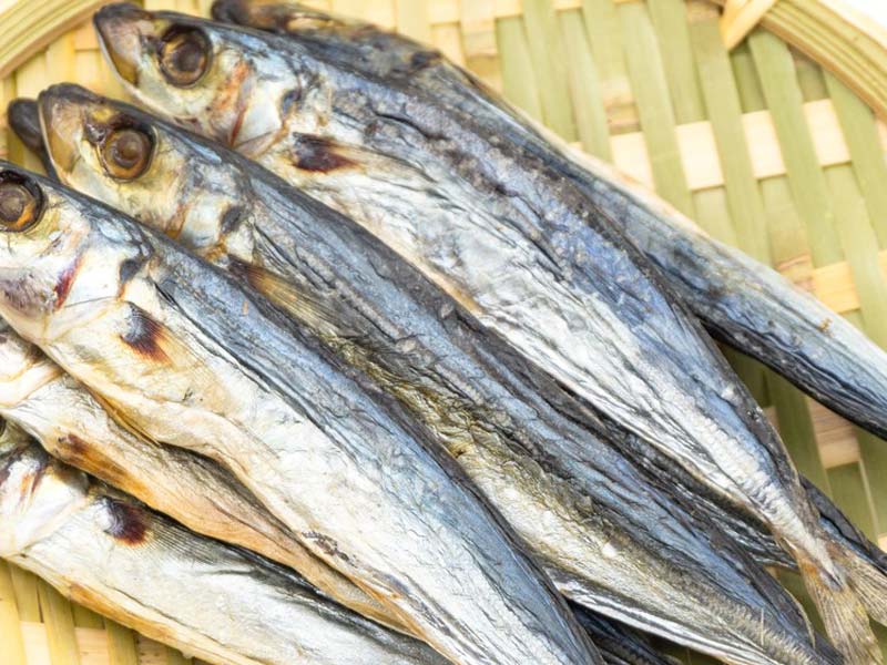 Essiccatore a Pompa di Calore per Pesci Essiccati