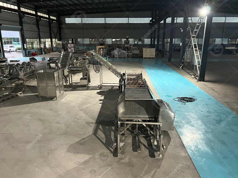 Fully integrated fruit juice production line turnkey project