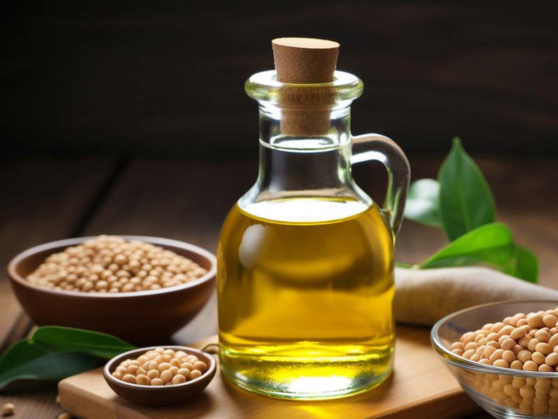 Pressa per olio a vite per olio di soia