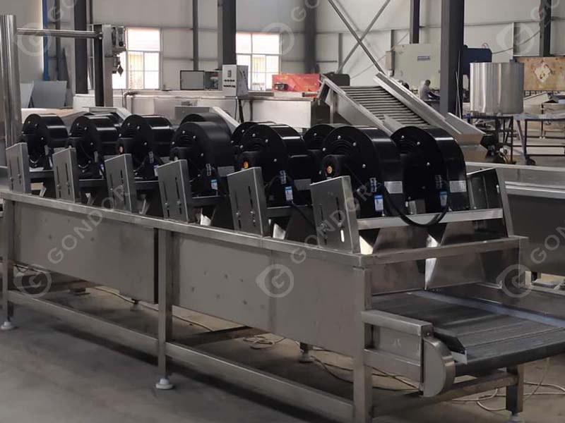Yarı Otomatik Patates Kızartması Üretim Hattı Detayı