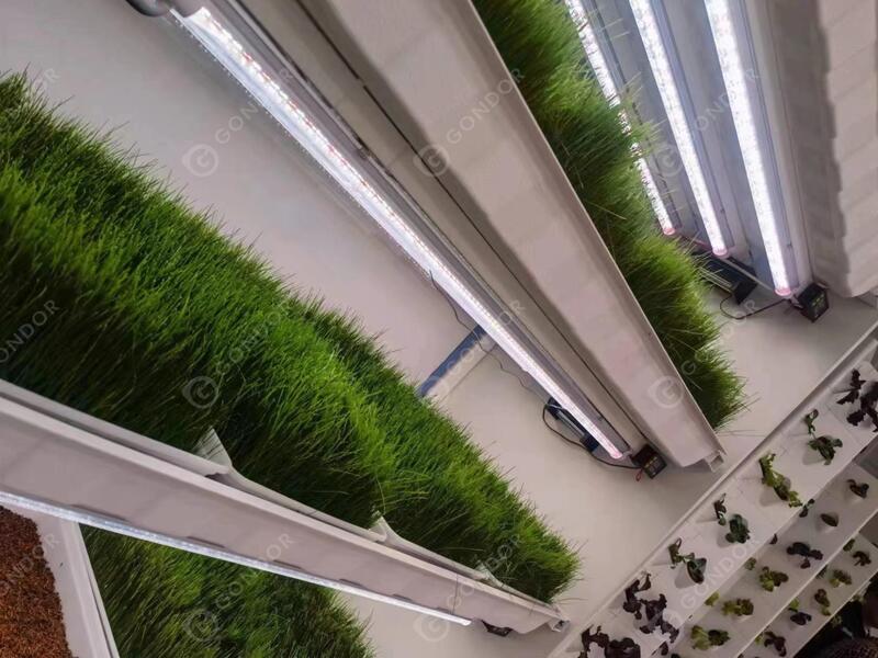 The interior of the hydroponic forage equipment.