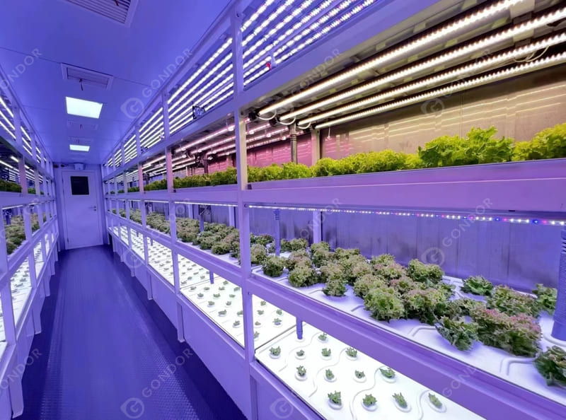 Vegetable Hydroponic Containers