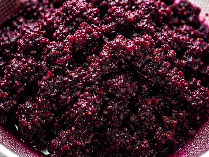 Macchina commerciale per spremitura a freddo per residui di gelso