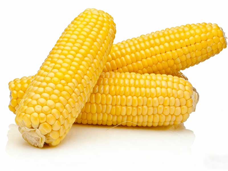 Trebbiatrice per mais per mais