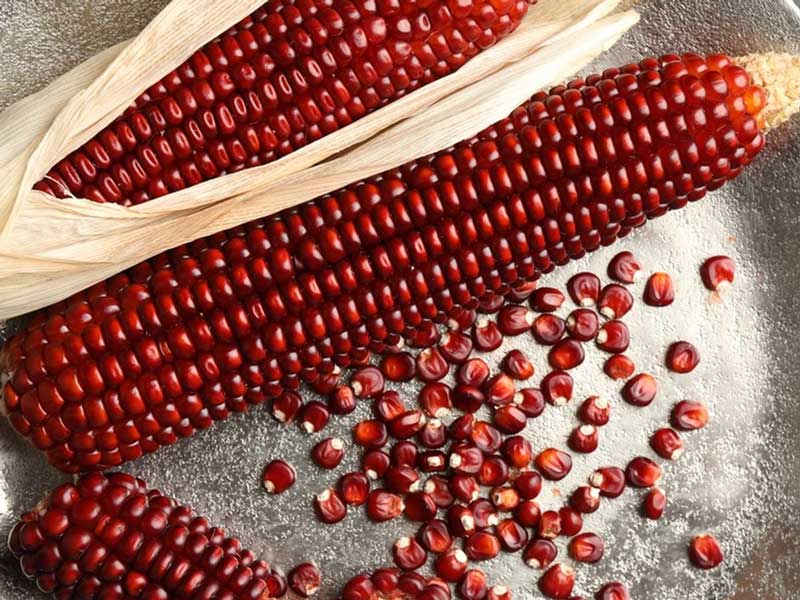 Frozen Corn Cutting Machine For Red Corn
