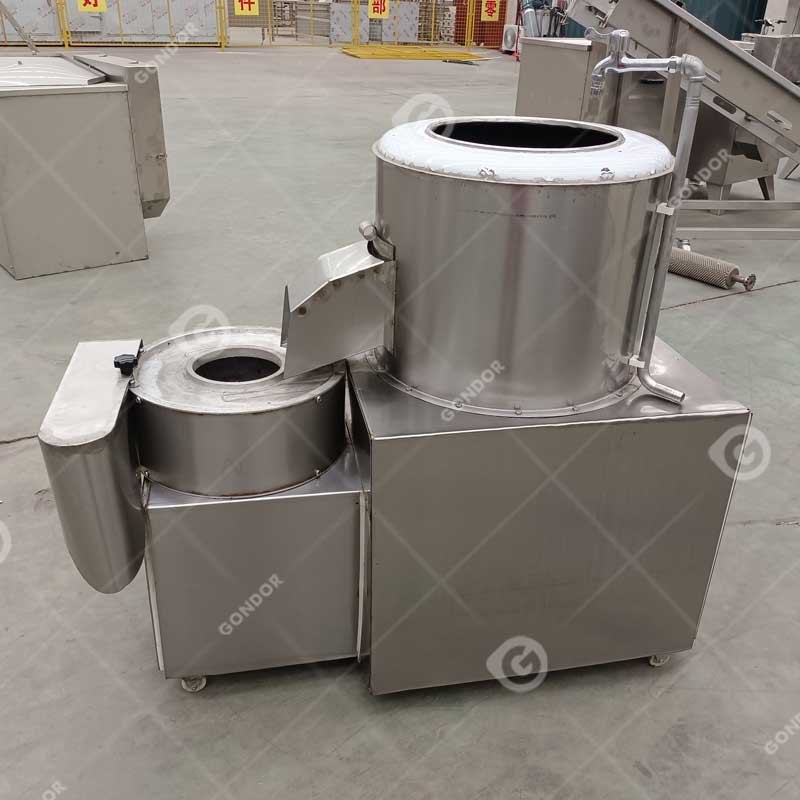 Potato Peeler and Slicer Machine
