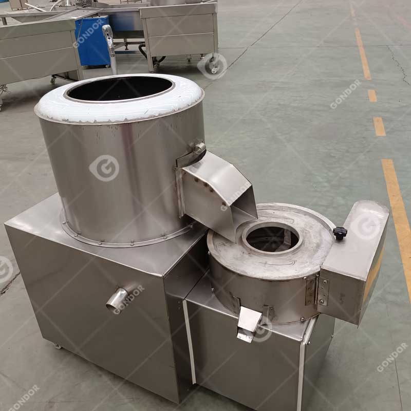 Potato Peeler and Slicer Machine