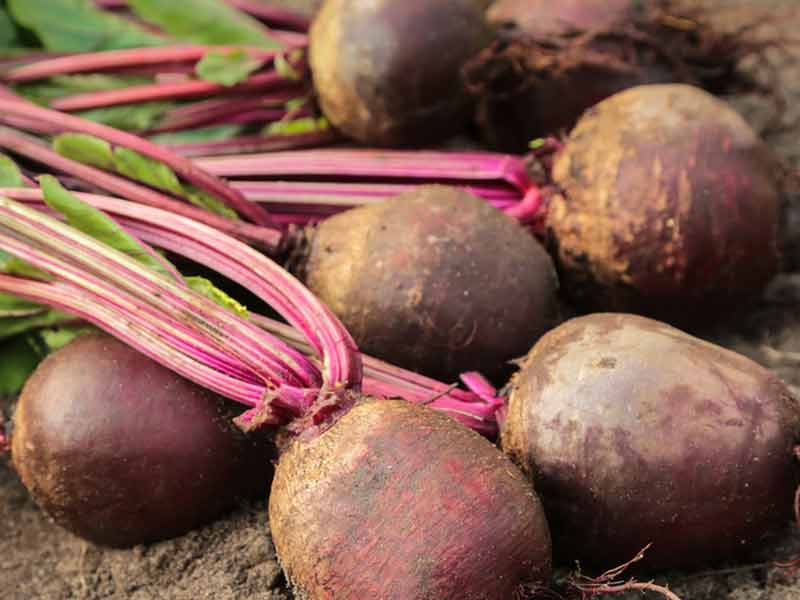 Beets