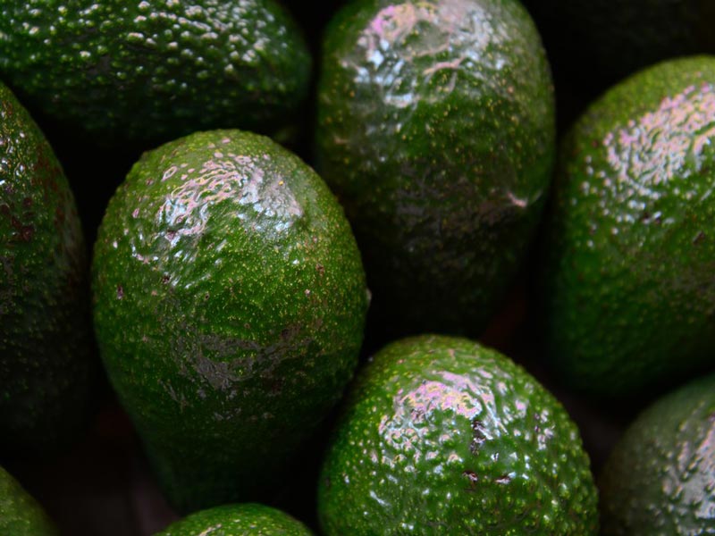 Selezionatrice di frutta a tamburo per avocado