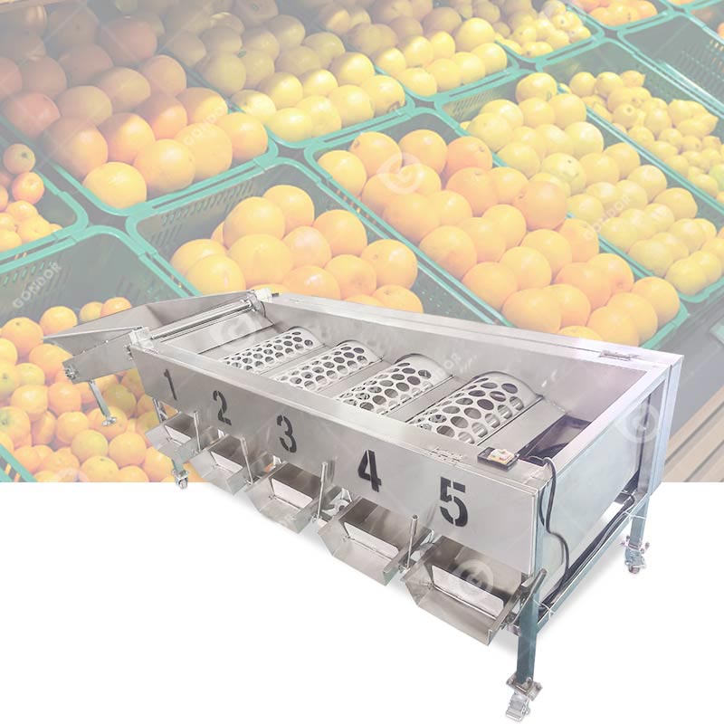 Selezionatrice per frutta a tamburo