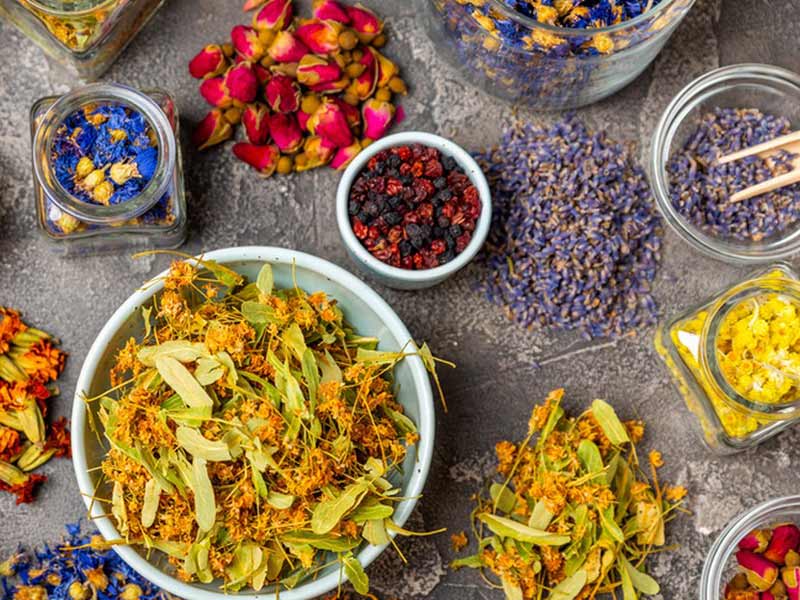 Liofilizzatore sottovuoto per alimenti per fiori e piante secchi