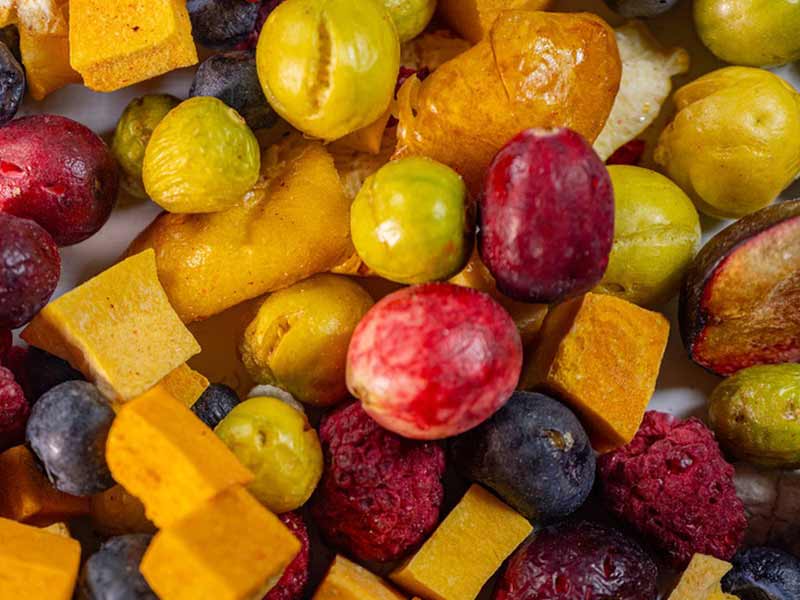 Liofilizzatore sottovuoto per alimenti per frutta e verdura secca