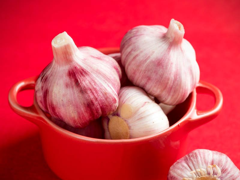 Aglio fresco