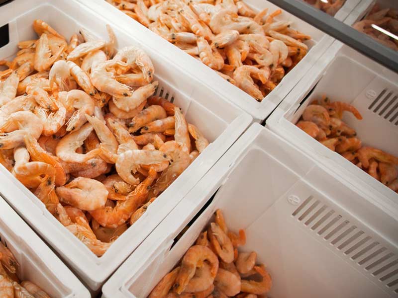 Panier de fruits de mer surgelés