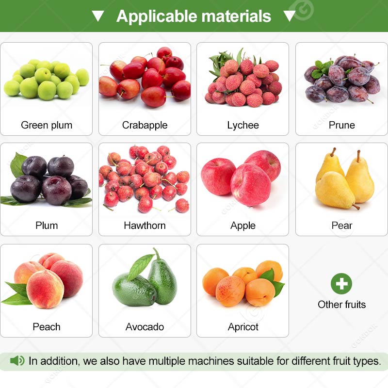 Automatic Fruit Pitting Machine