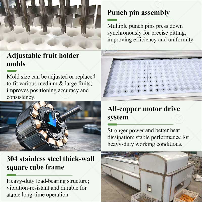 Automatic Fruit Pitting Machine