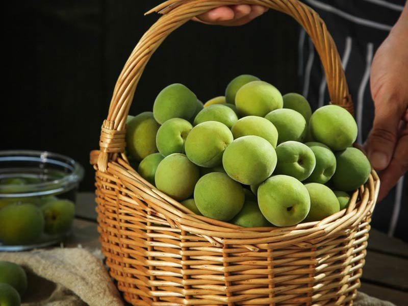 Fruit Pitting Machine For Green Plum2