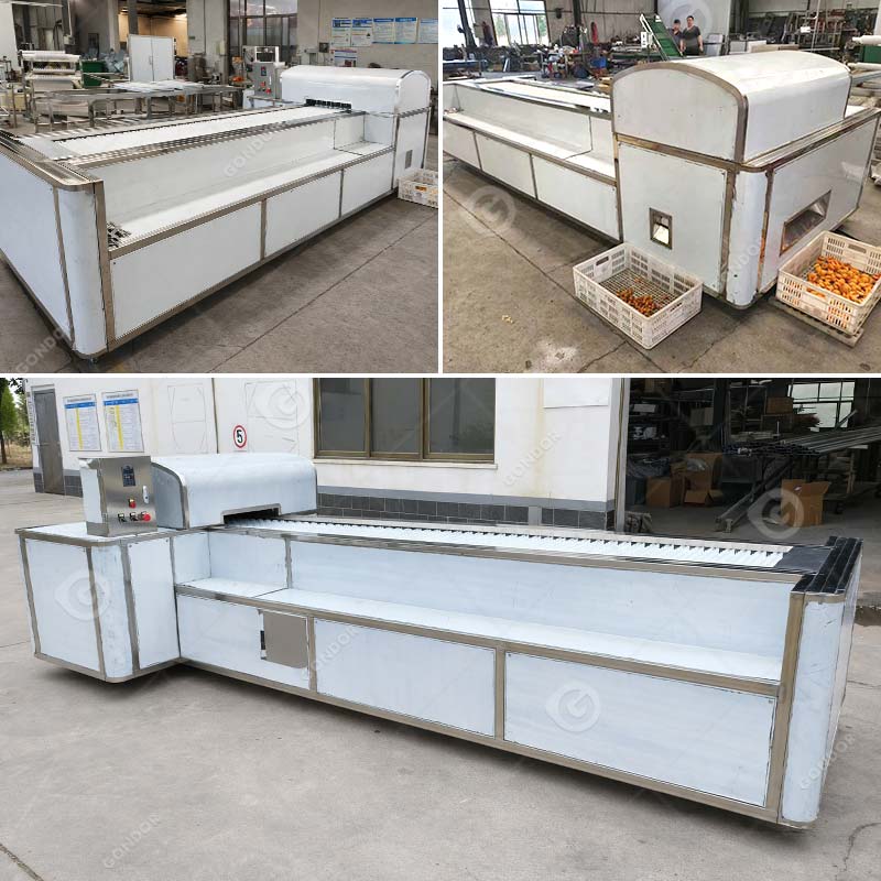 Automatic Fruit Pitting Machine
