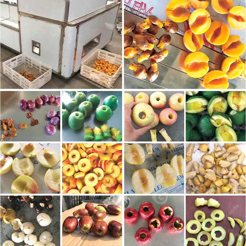 Automatic Fruit Pitting Machine