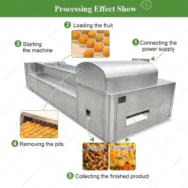 Automatic Fruit Pitting Machine
