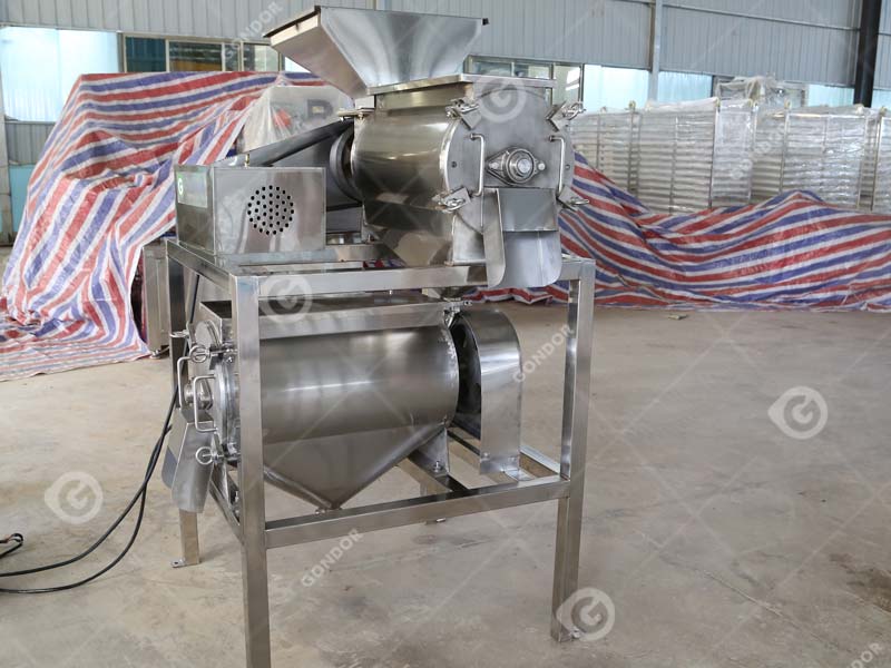 Fruit Pulping Machine